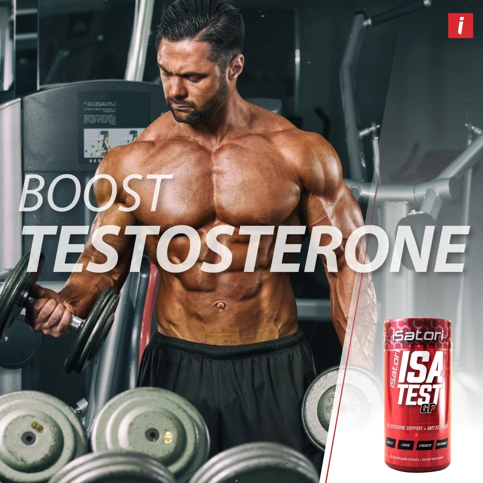 Isa-Test GF Testosterone Support Plus Anti Estrogen, 120 Count PACK OF 2