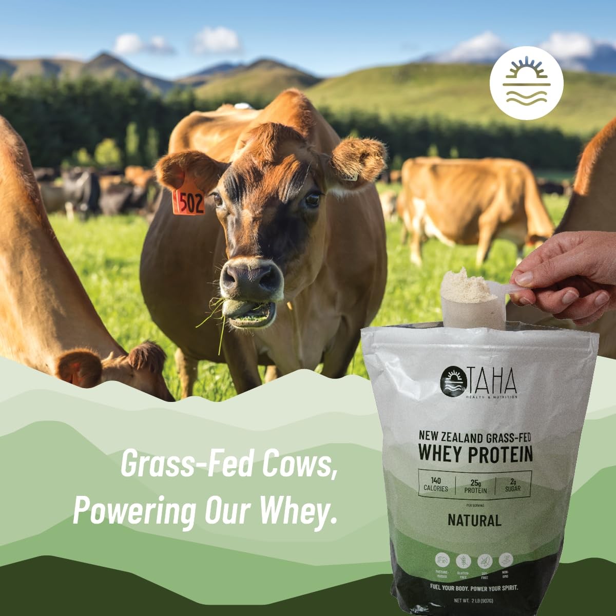 Natural Unflavored Whey Protein Concentrate Powder, 25g Protein, 140 Calories…