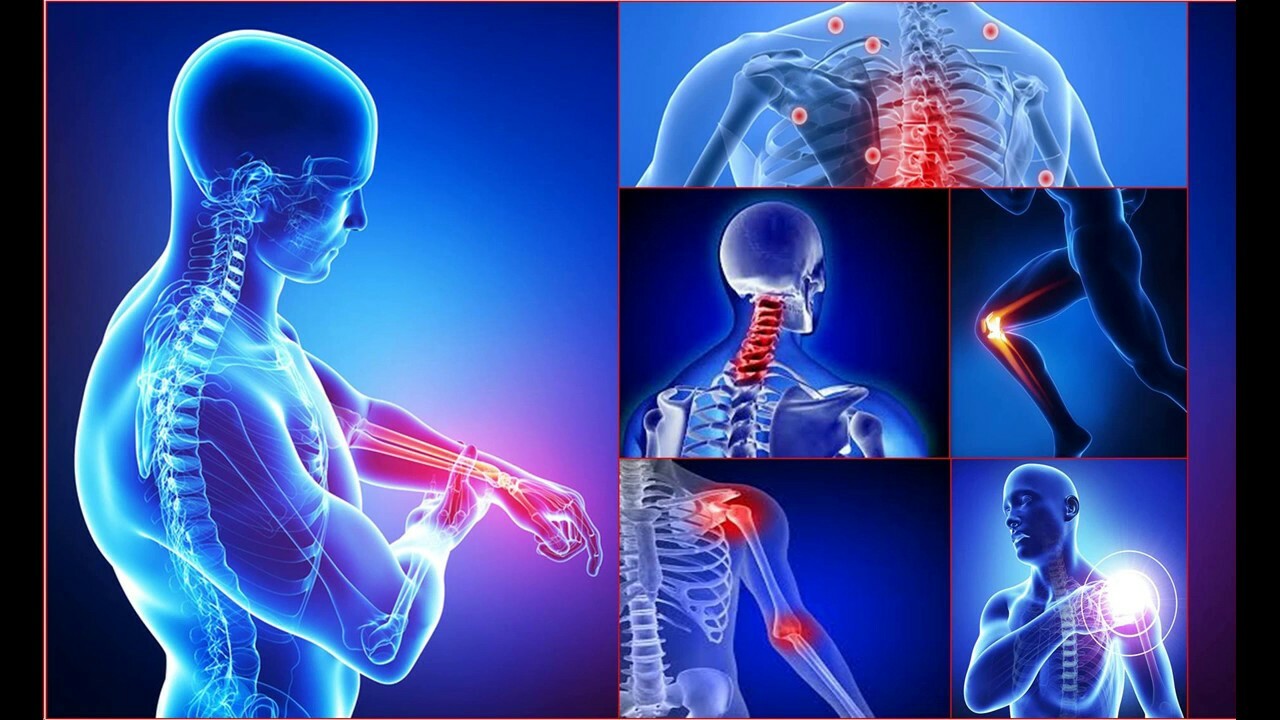 glucosamine supplement, GLUCOSAMINE CHONDROITIN & MSM, reduce joint stiffness 2B