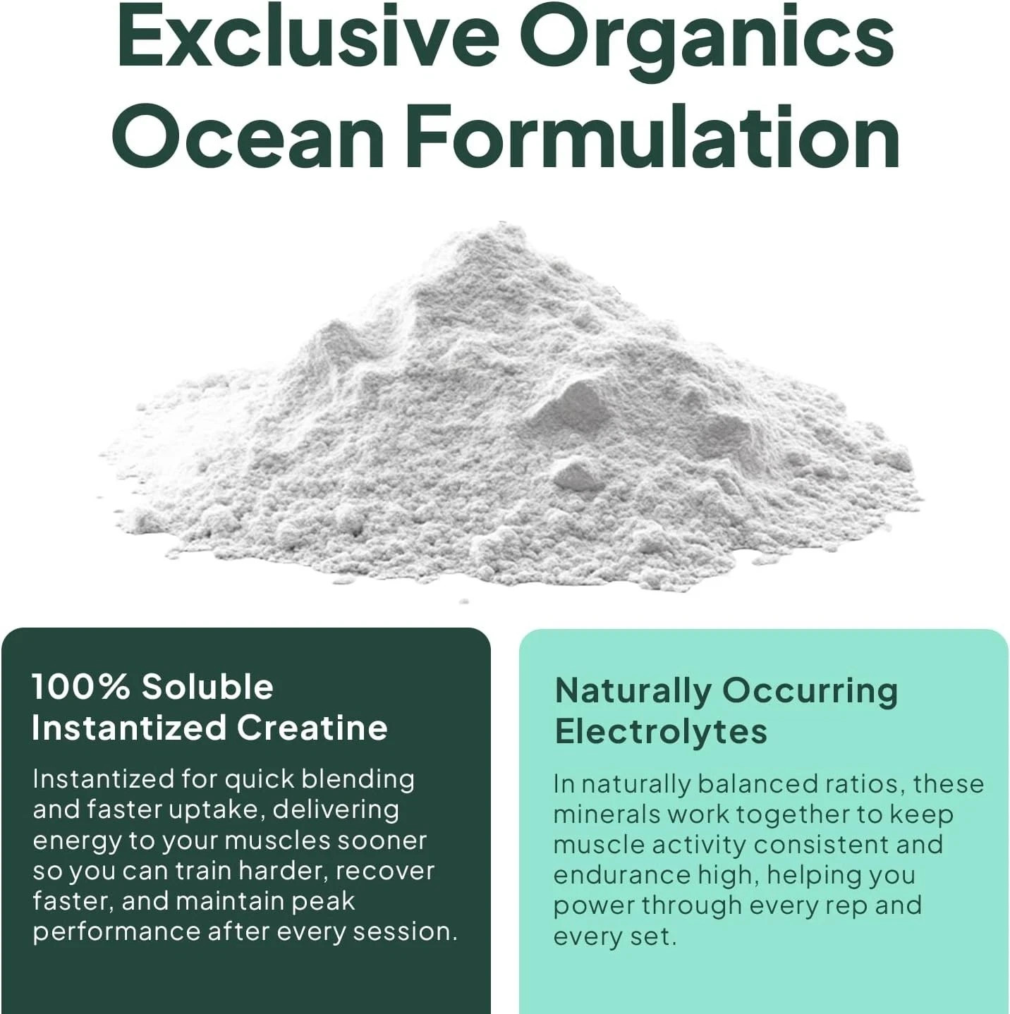 Organics Ocean Krealyte Fusion Creatine Powder Electrolytes Muscle 30 Servings