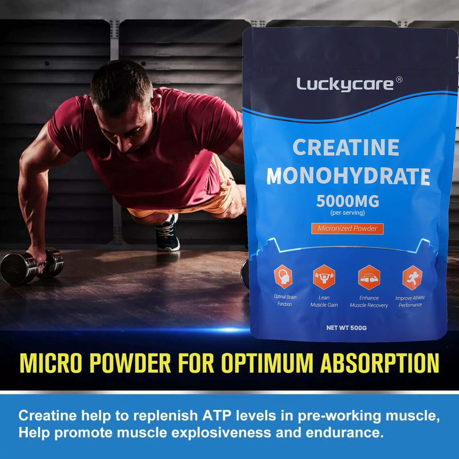 Creatine Monohydrate Mass Gainer Protein Powder Easily Mix Gain Muscle Strength