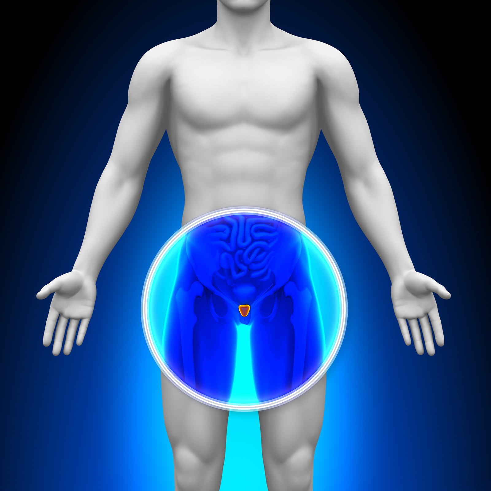 Male Enhancement – PROSTATE SUPPORT – Extract Boost – Vitamion E – 1 Bot 60 Ct