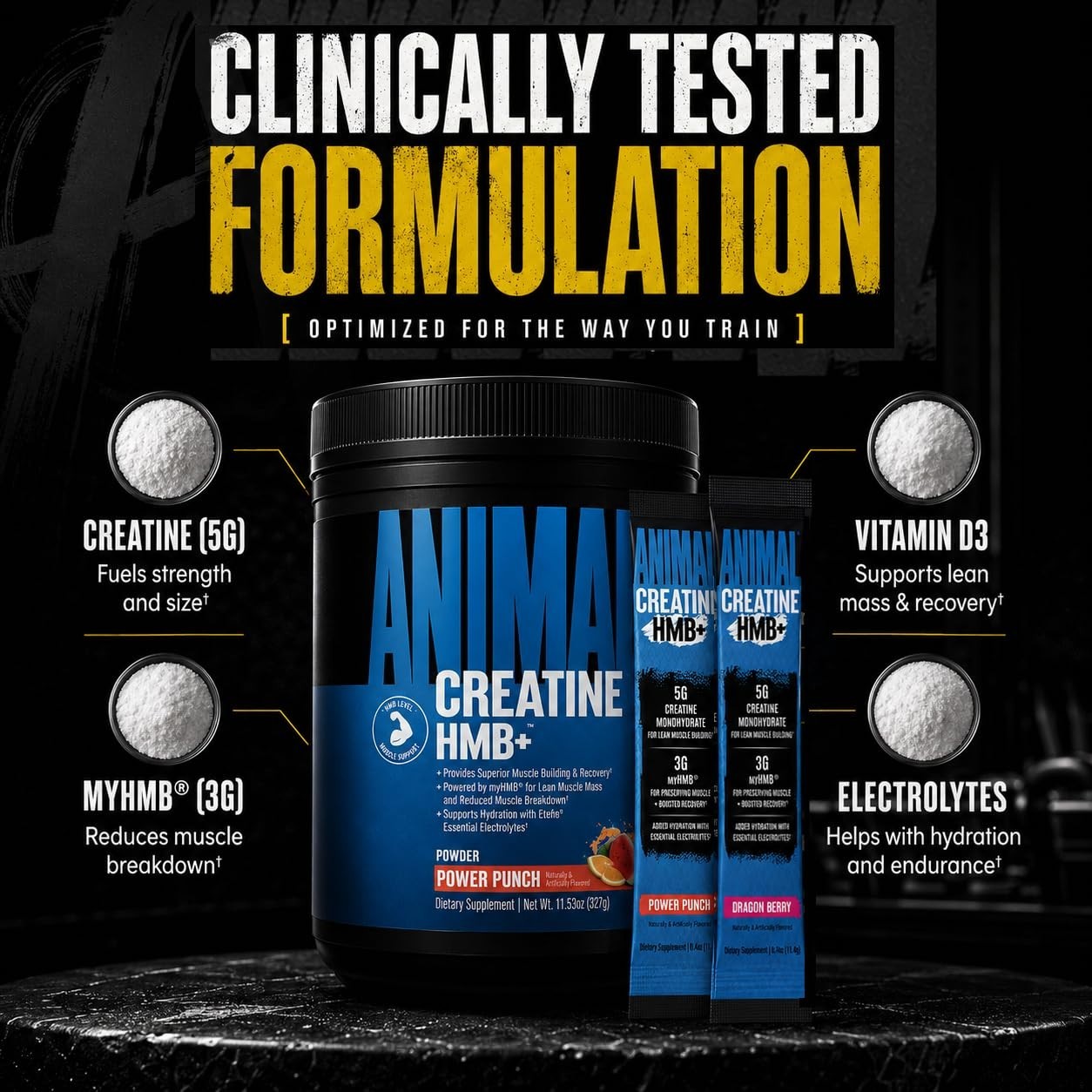 Creatine HMB Powder with Electrolytes – 3g MyHMB + 5g Creatine for Recovery & En