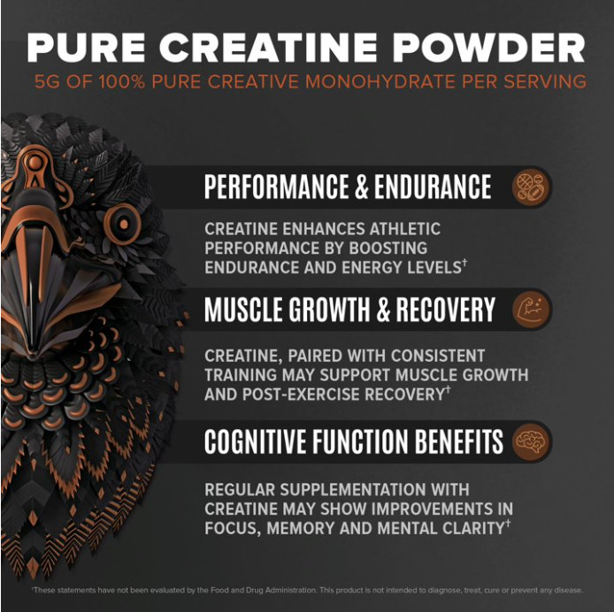 BIRDMAN Falcon Vegan Protein with Creatine, Chocolate, 28 Servings