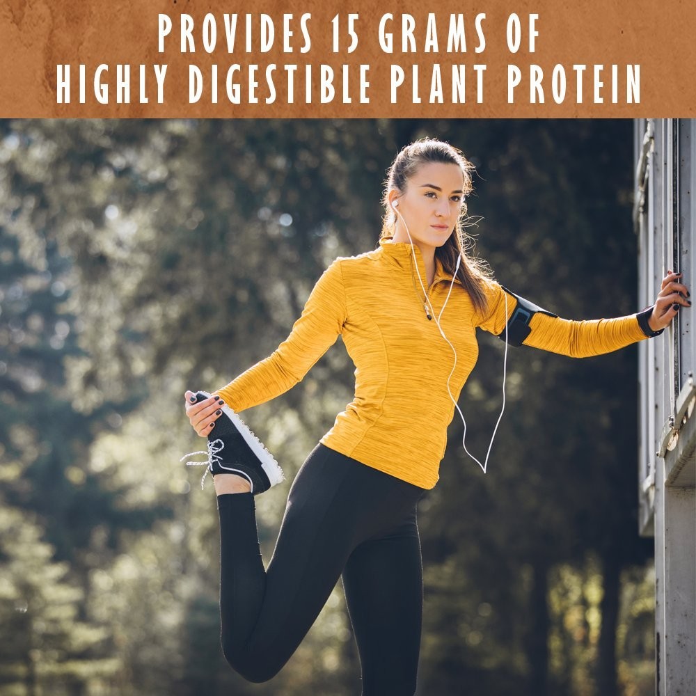 Garden Of Life Organic Protein Chocolate Flavor Protein Powder Based Powder