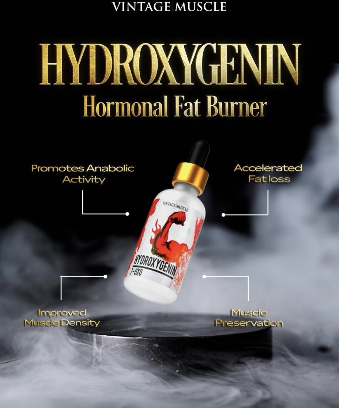 Premium Dry Lean Mass Gainer Cycle🔁 Bundle Deal By Vintage Muscle💪 🏛️🧪⚡️