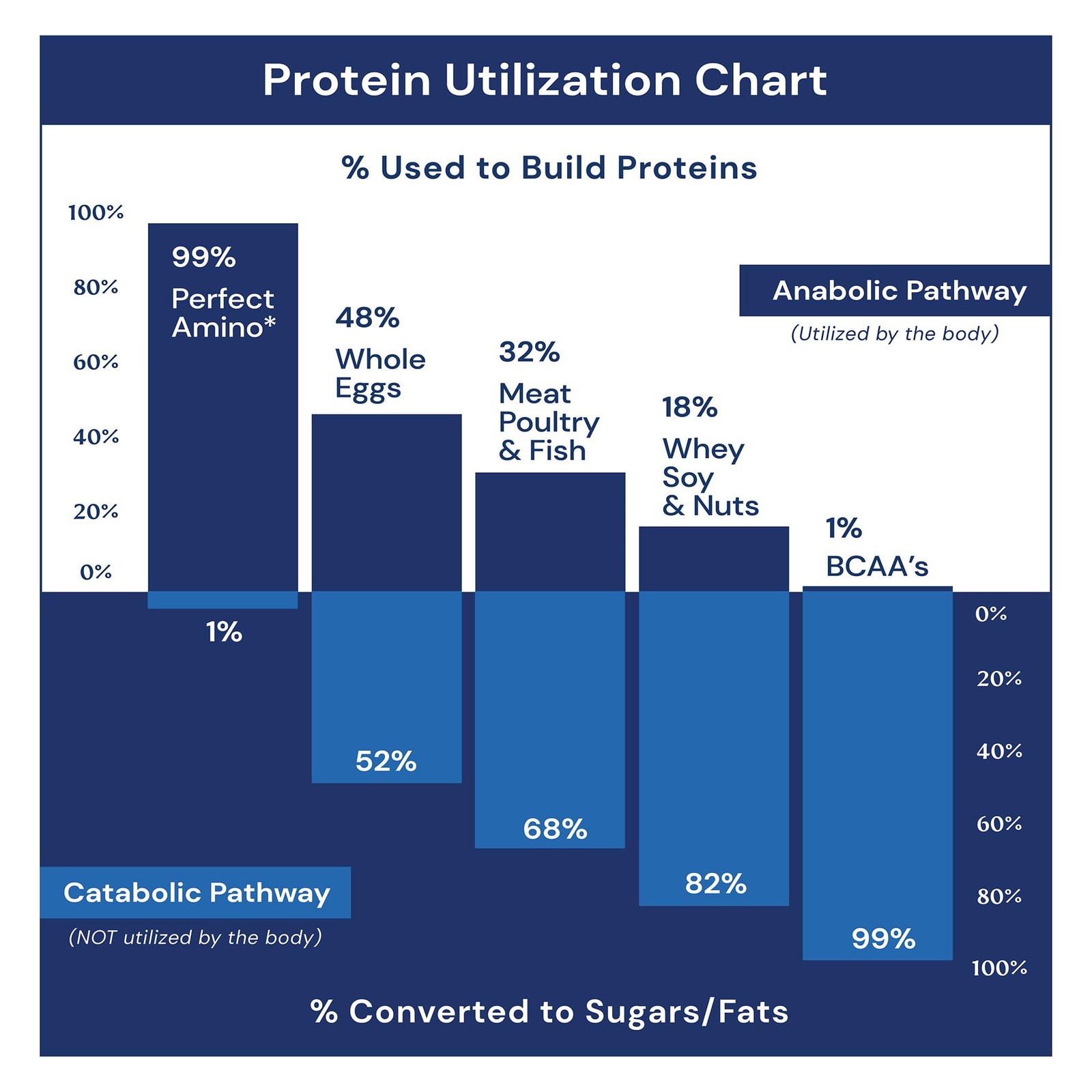 Perfectamino Powder – BCAA and EAA Powder for Pre and Post Workout – Amino Acid