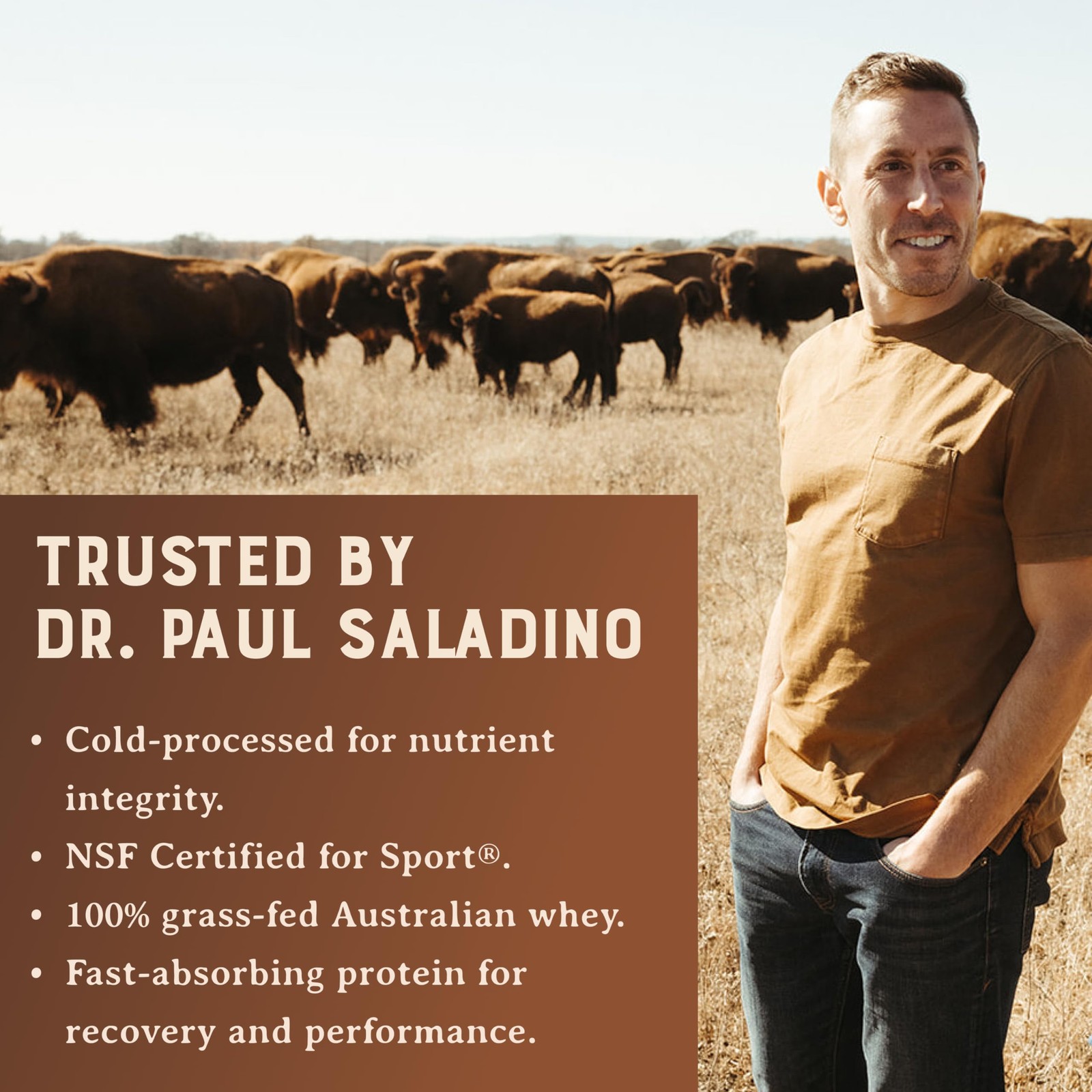 100% Grass Fed Whey Chocolate Protein Powder – Only Four Ingrediants, Absolut…