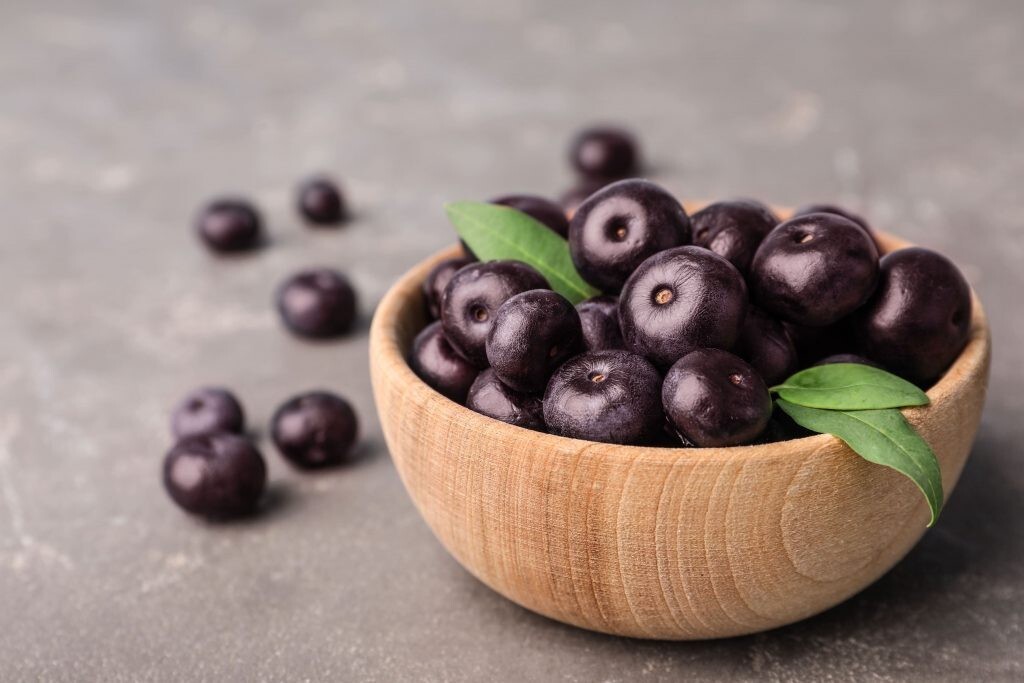 Immune System Fortification – ACAI BERRY EXTRACT – 3B 180 Caps