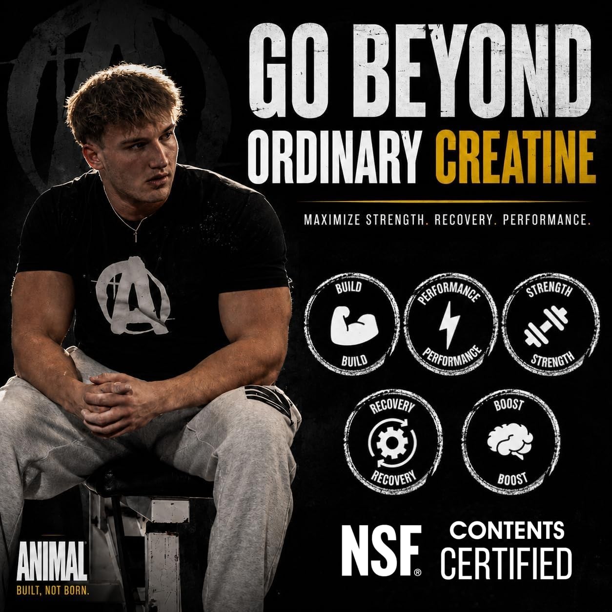 Animal Creatine Monohydrate Powder — 300g (Pack of 1), Unflavored