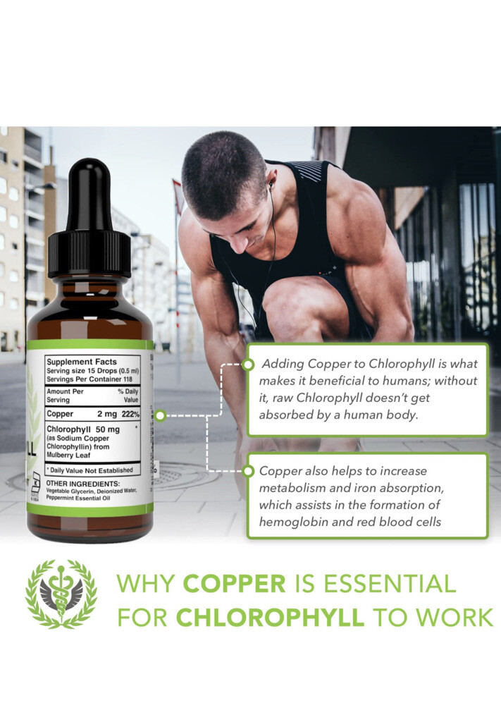 Chlorophyll Liquid Drops – Energy Boost | Immune System Support – 100% Natural