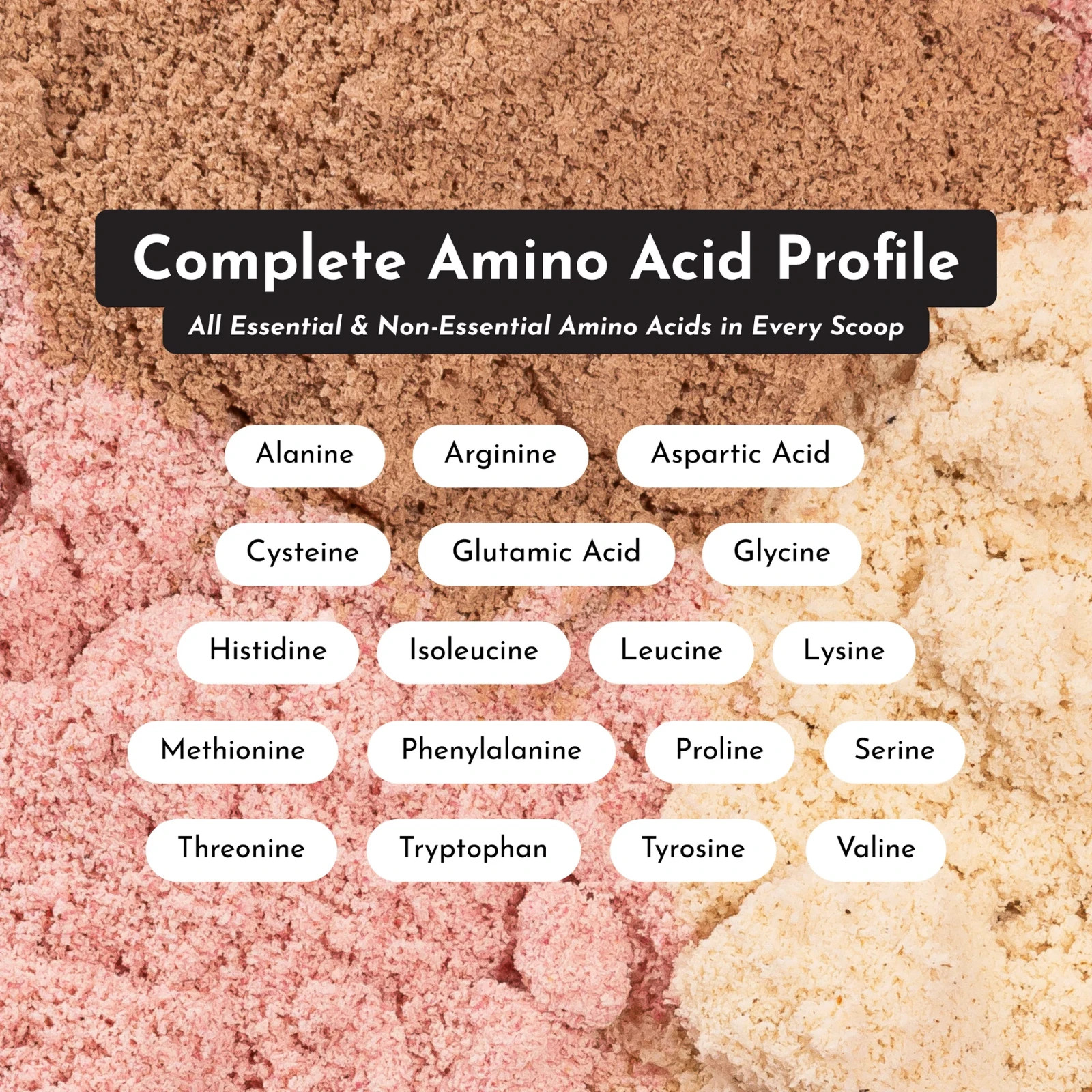 Just Ingredients Chocolate Protein Powder | Grass-Fed Whey Protein | Chocolate
