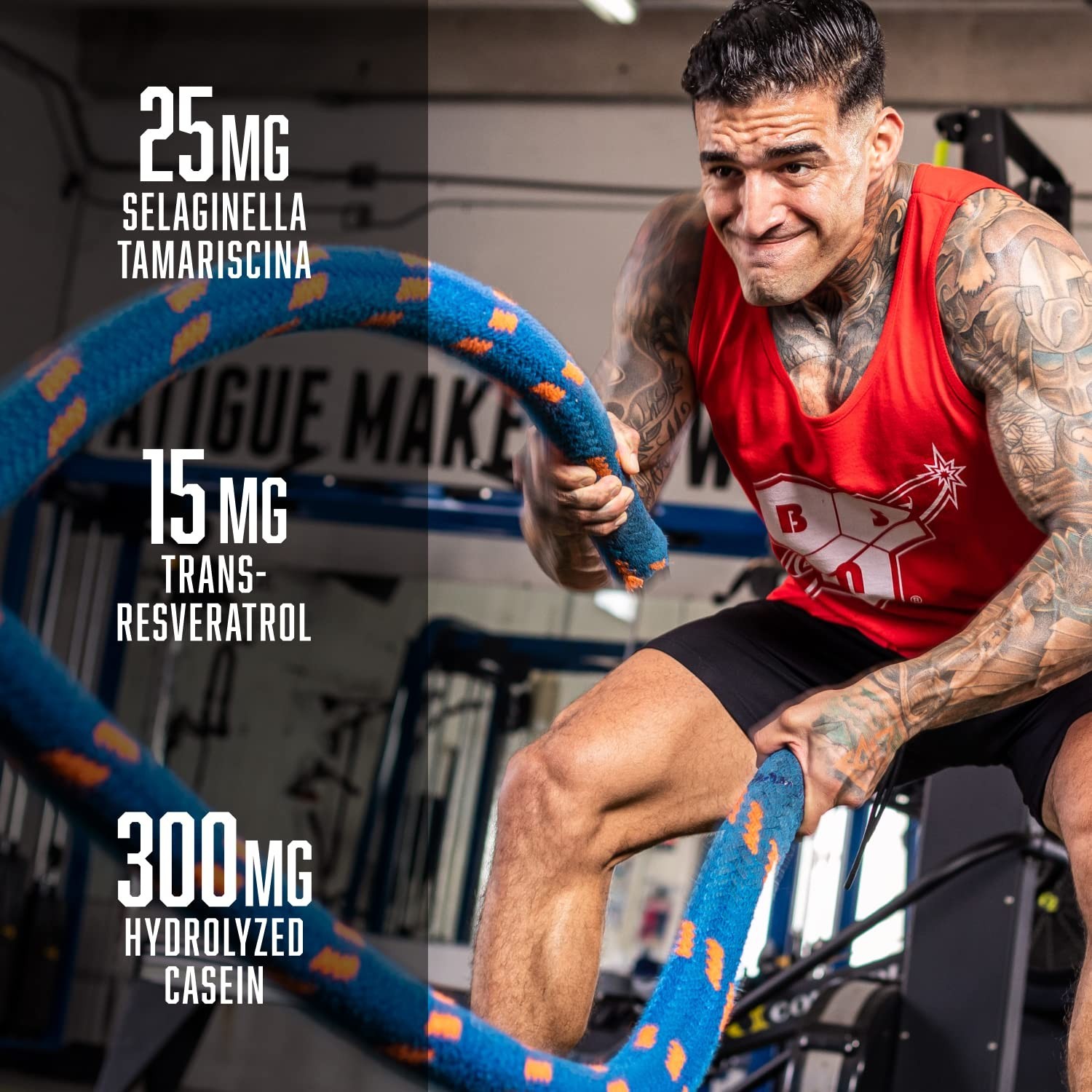 Pre Workout Powder – 8g L-Citrulline, 3.2g Beta-Alanine, Energy Boost, Grape Fur