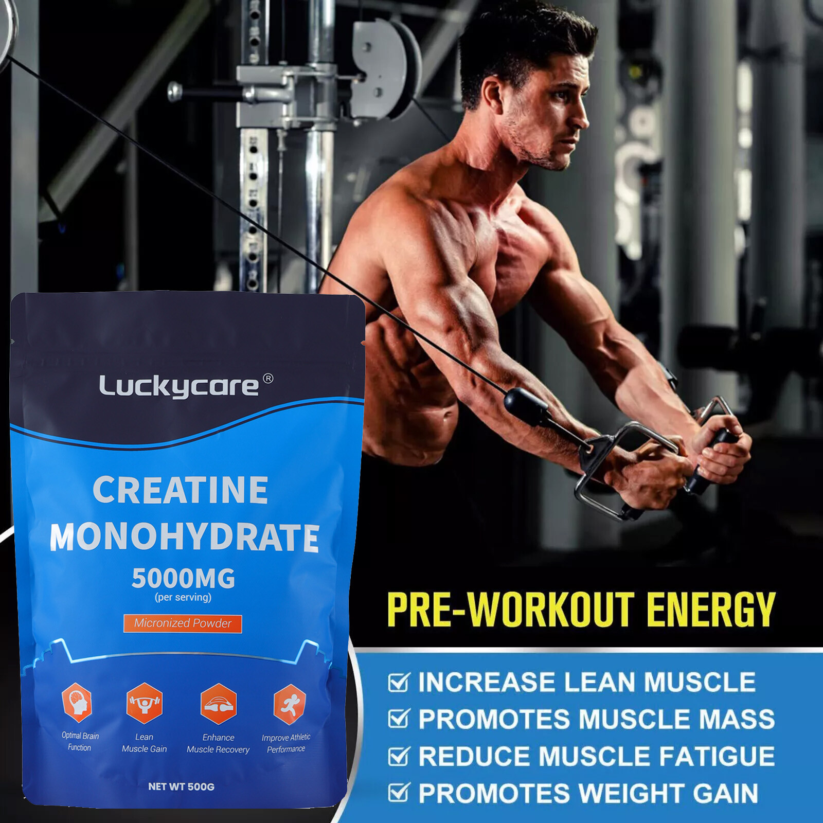 Creatine Monohydrate Mass Gainer Protein Powder Easily Mix Gain Muscle Strength