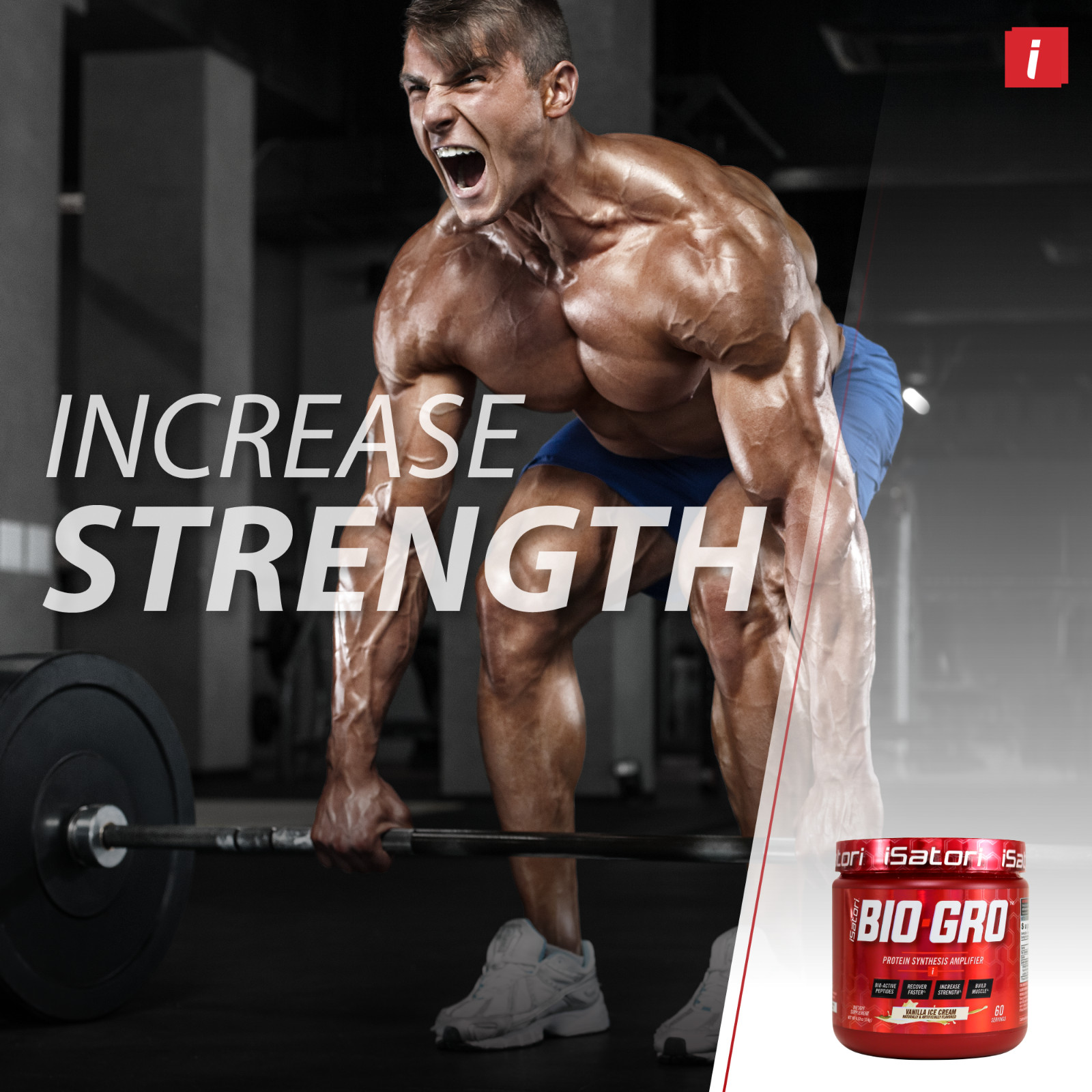 BIO-GRO Protein Muscle, Strength & Recovery – Vanilla Ice Cream / 60 Servings