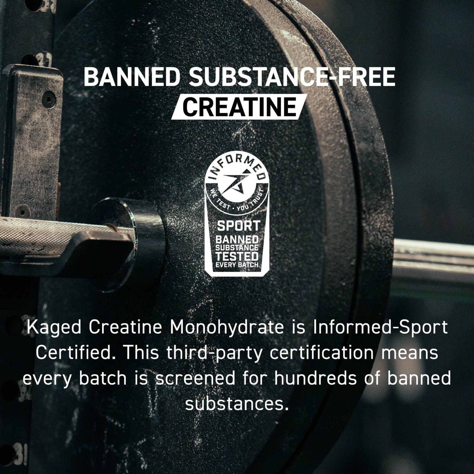 Kaged Creatine Monohydrate Elite Powder | 10.58 Ounce (Pack of 1), No Color