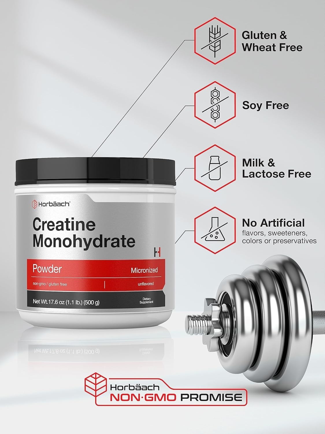 Micronized Creatine Monohydrate Powder 1.1lb – Gluten Free & Vegetarian
