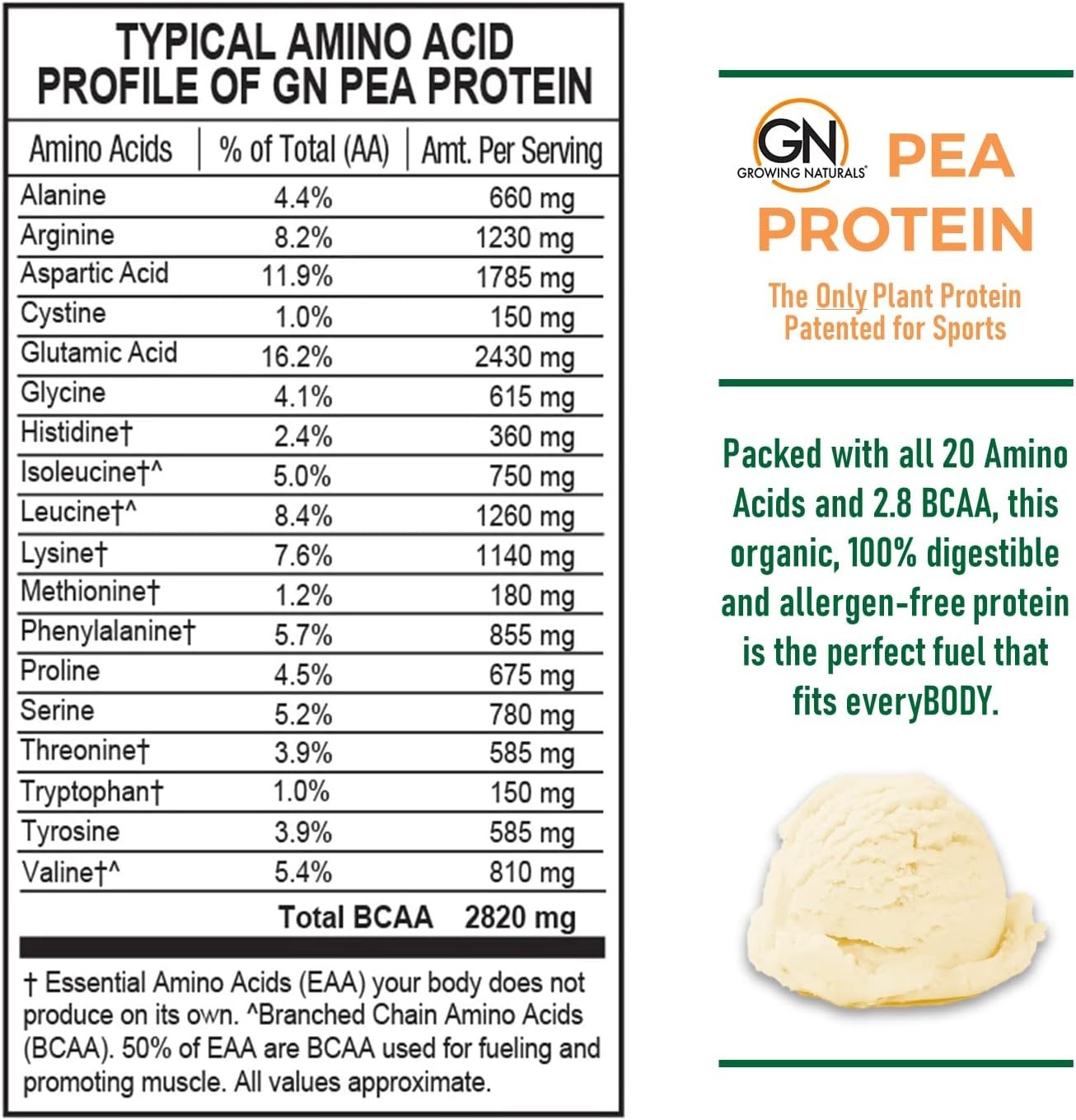 Pea Protein Gold Standard Protein Powder Vanilla Blast 948 g/2.09 lb