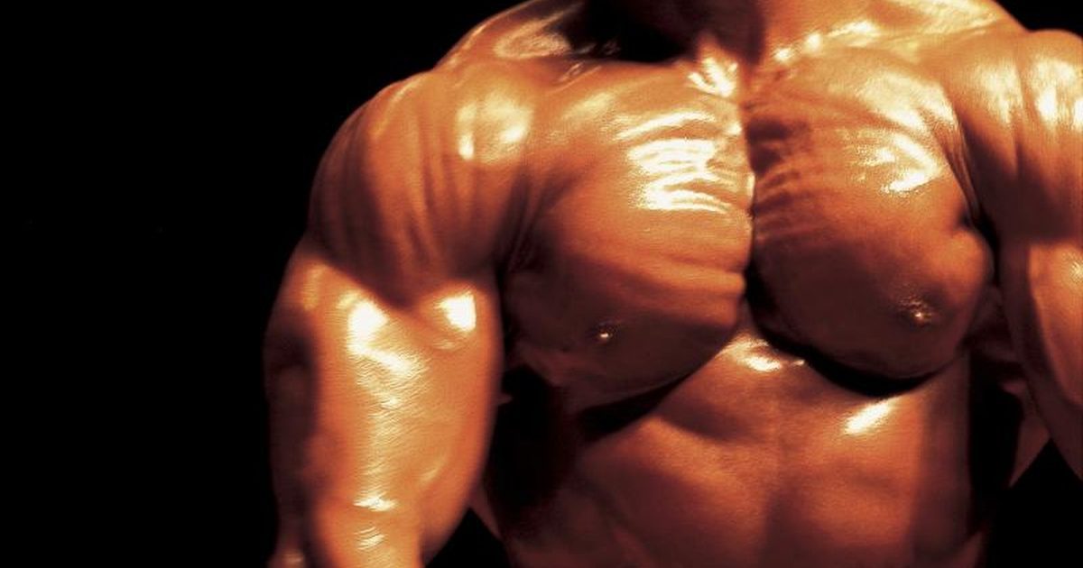Gain Weight Supplement – MUSCLE MAKER PLUS – Fat Loss 2B