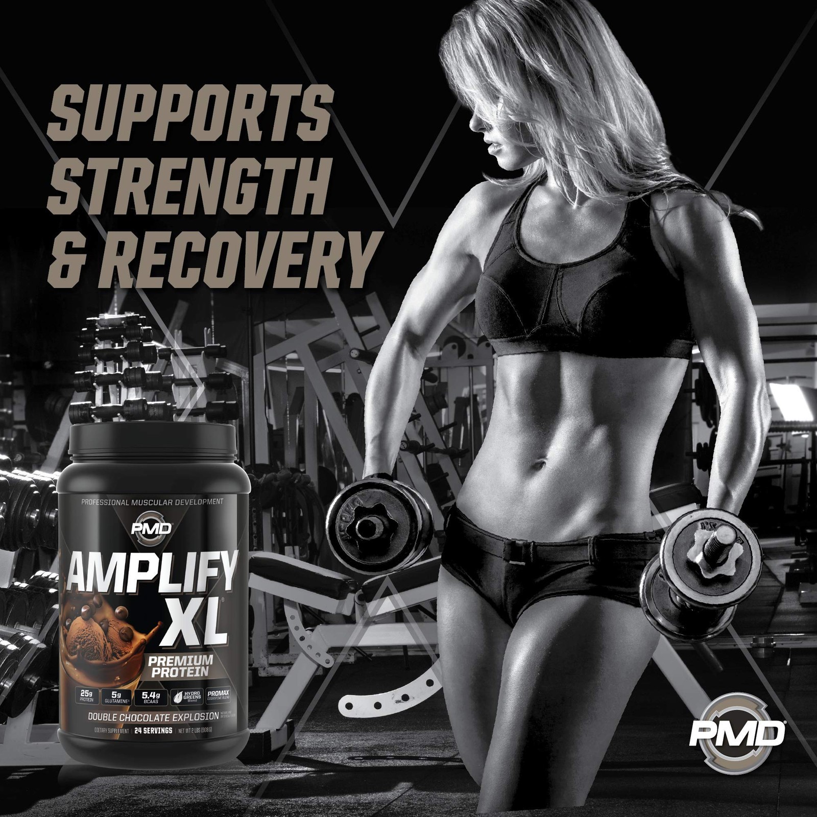 Amplify XL Chocolate Protein Powder 2 Pound Lean Muscle Recovery Supplement