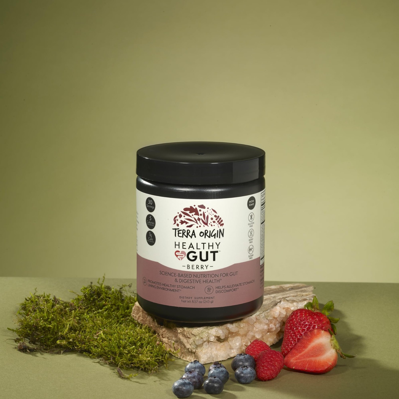 TERRA ORIGIN Healthy Gut Powder Berry Flavor |30Servings with LGlutamine, Zin…