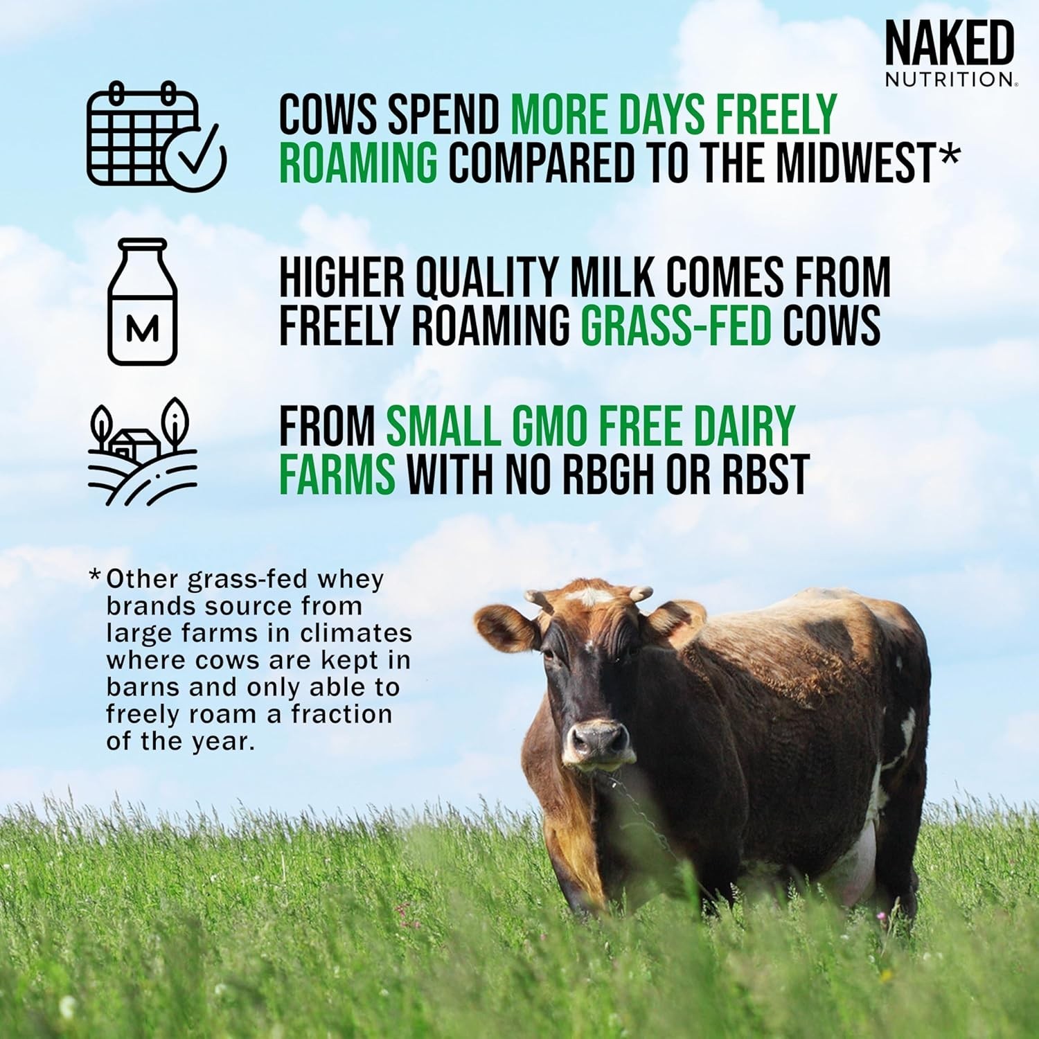 NAKED Whey 1Lb – Only 1 Ingredient, Grass Fed 1 or 2 Pound (Pack of 1)