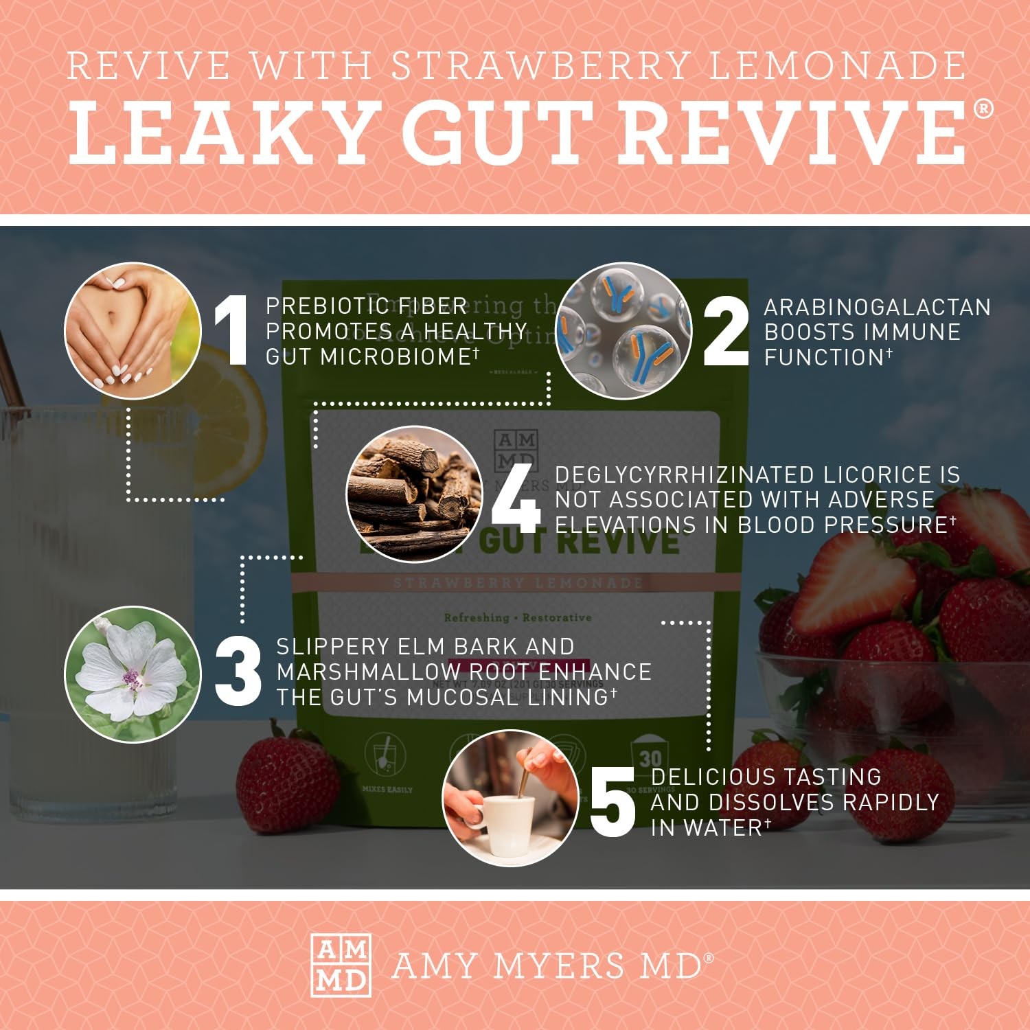Leaky Gut Revive – Gluten-Free & Non-Dairy – Botanical Blend for Healthy Gut …
