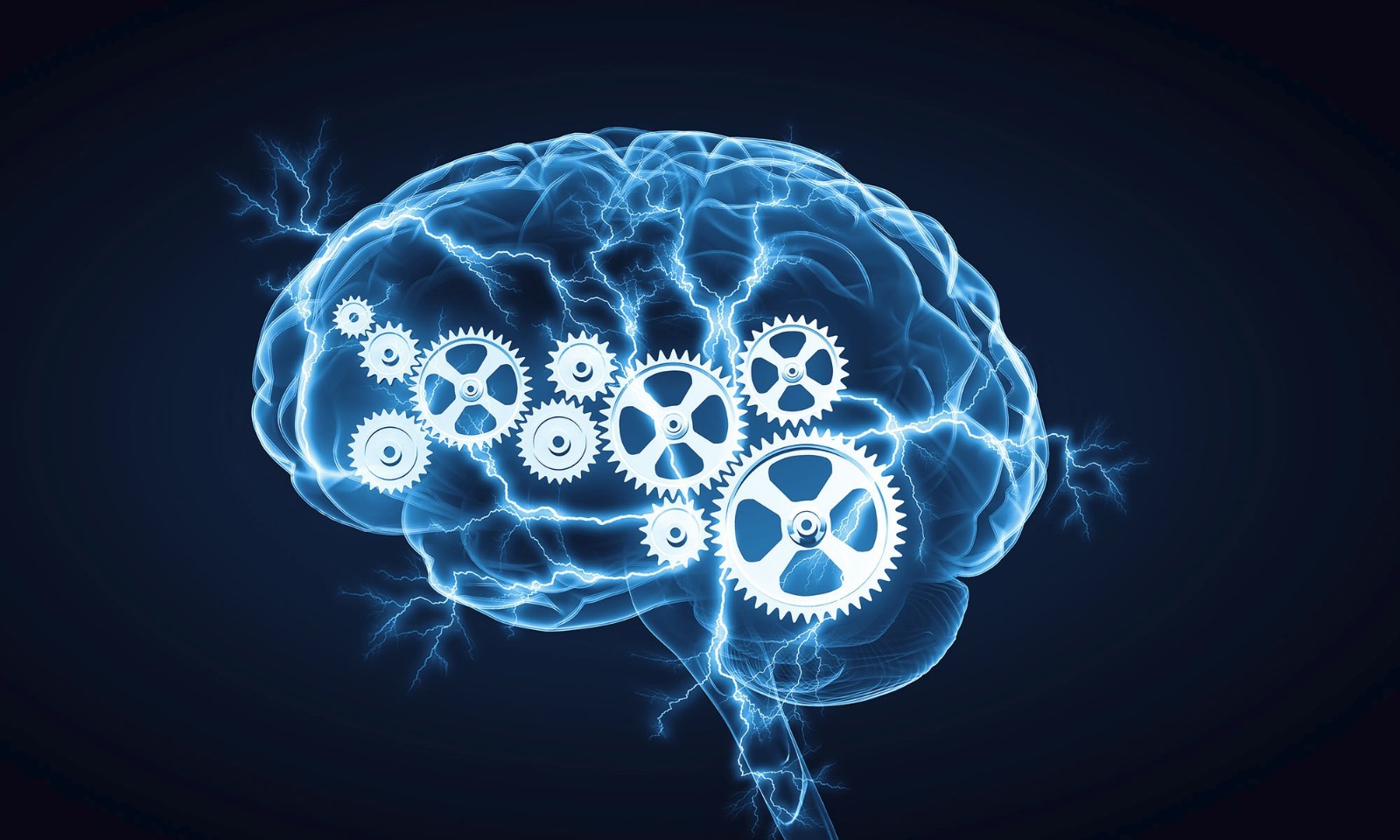 Antioxidant supplement – BRAIN & MEMORY BOOSTER FORMULA – immune support dai – 2