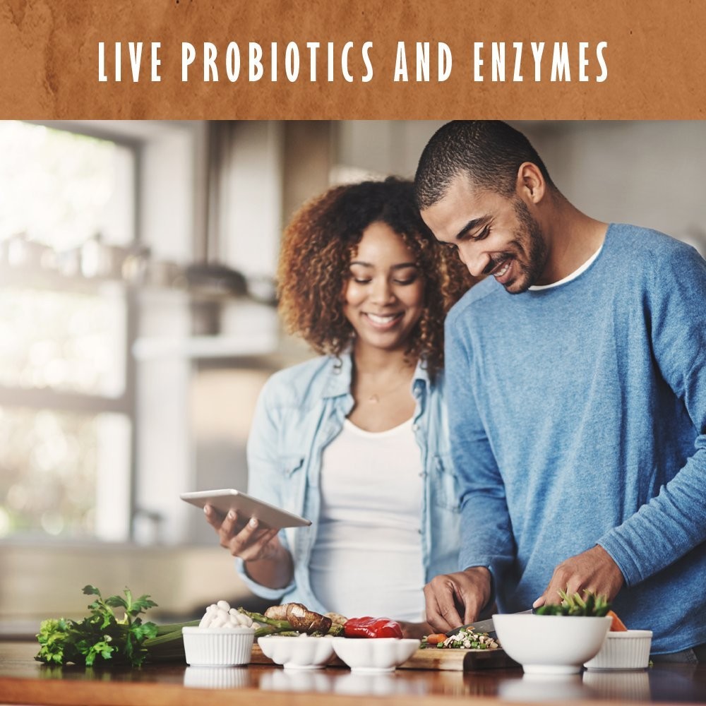 Garden Of Life Organic Protein Chocolate Flavor Protein Powder Based Powder