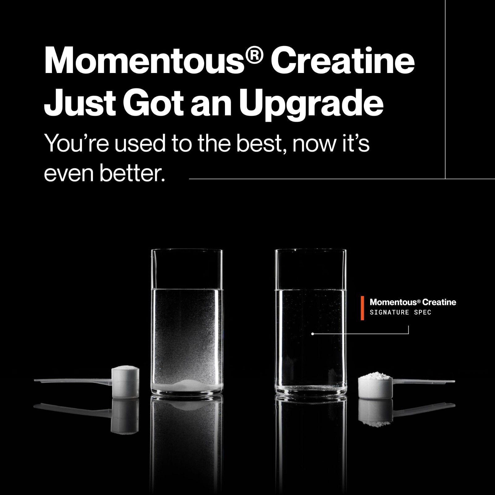 Creatine Monohydrate Powder – Supports Strength, Lean Muscle & Recovery – 90 Ser
