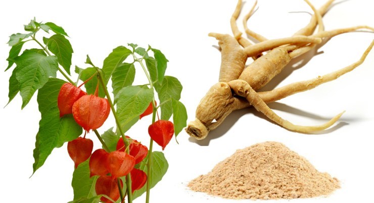 stress relief pills ASHWAGANDHA ROOT COMPLEX 770mg mood enhancer pills 2 Bottles
