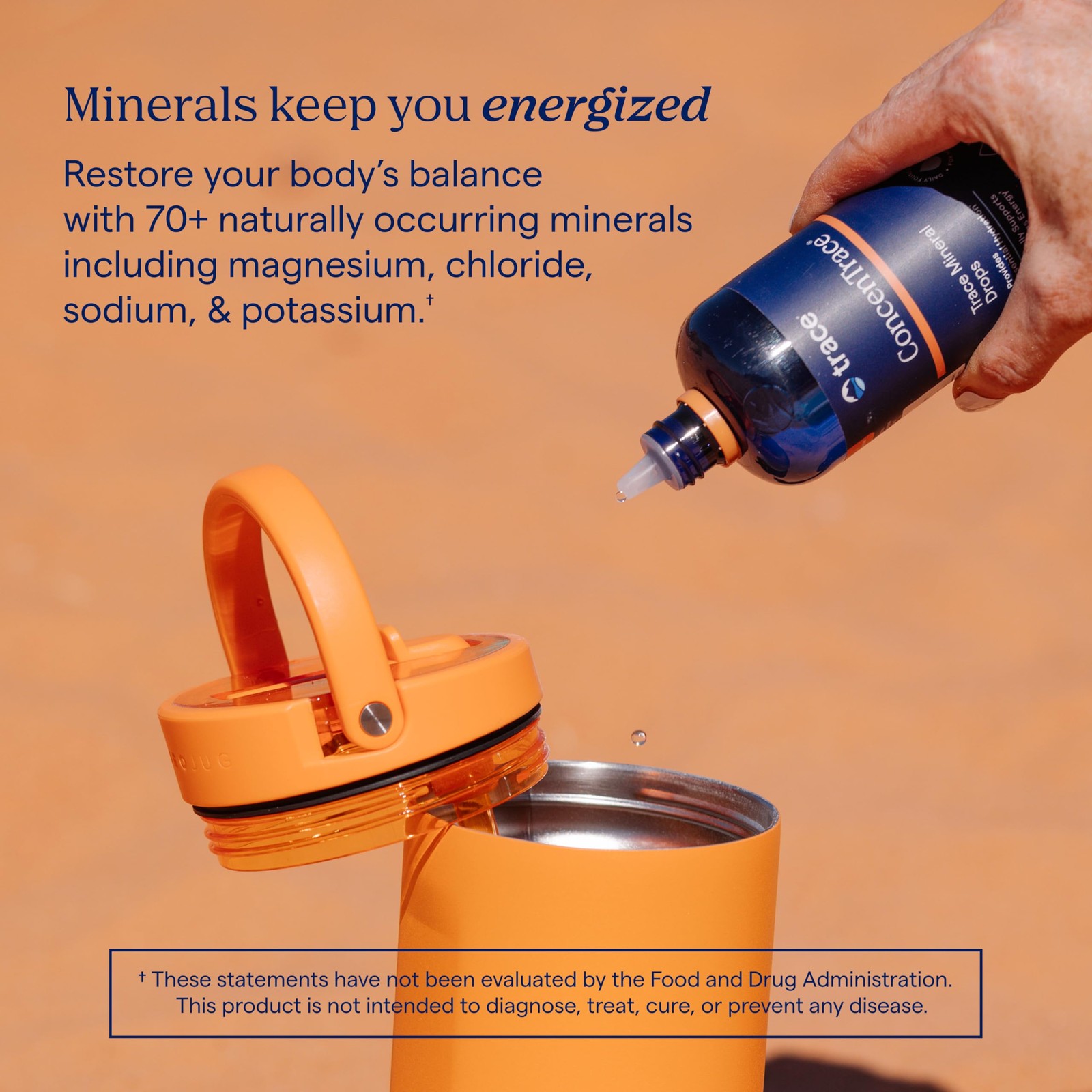 Trace Minerals ConcenTrace Trace Mineral Drops | Energy, Digestion, Bone Support
