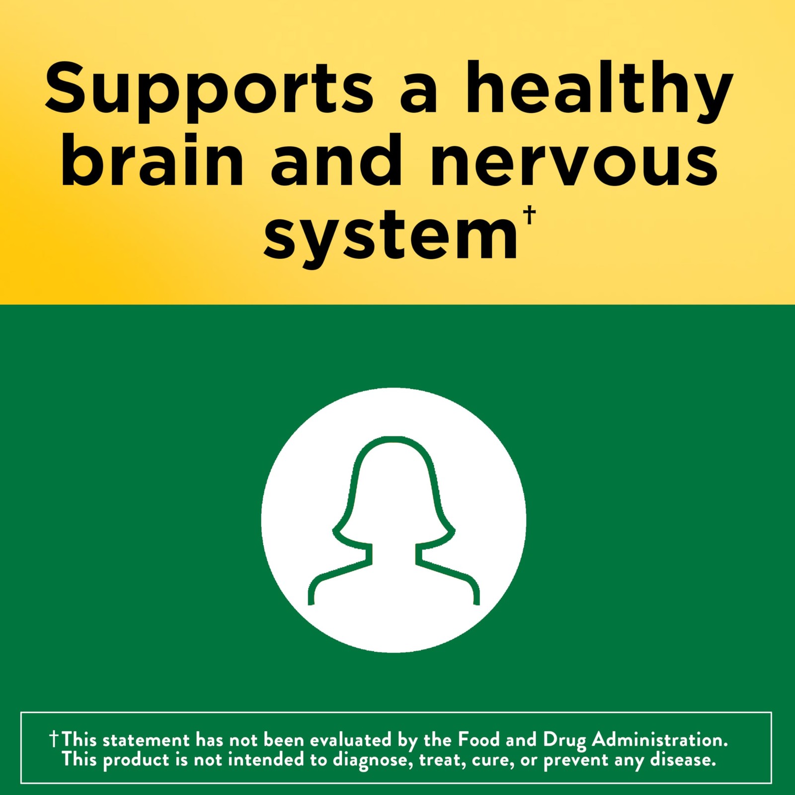 Folic Acid 400 mcg (665 mcg DFE) Dietary Supplement for Nervous System Function,