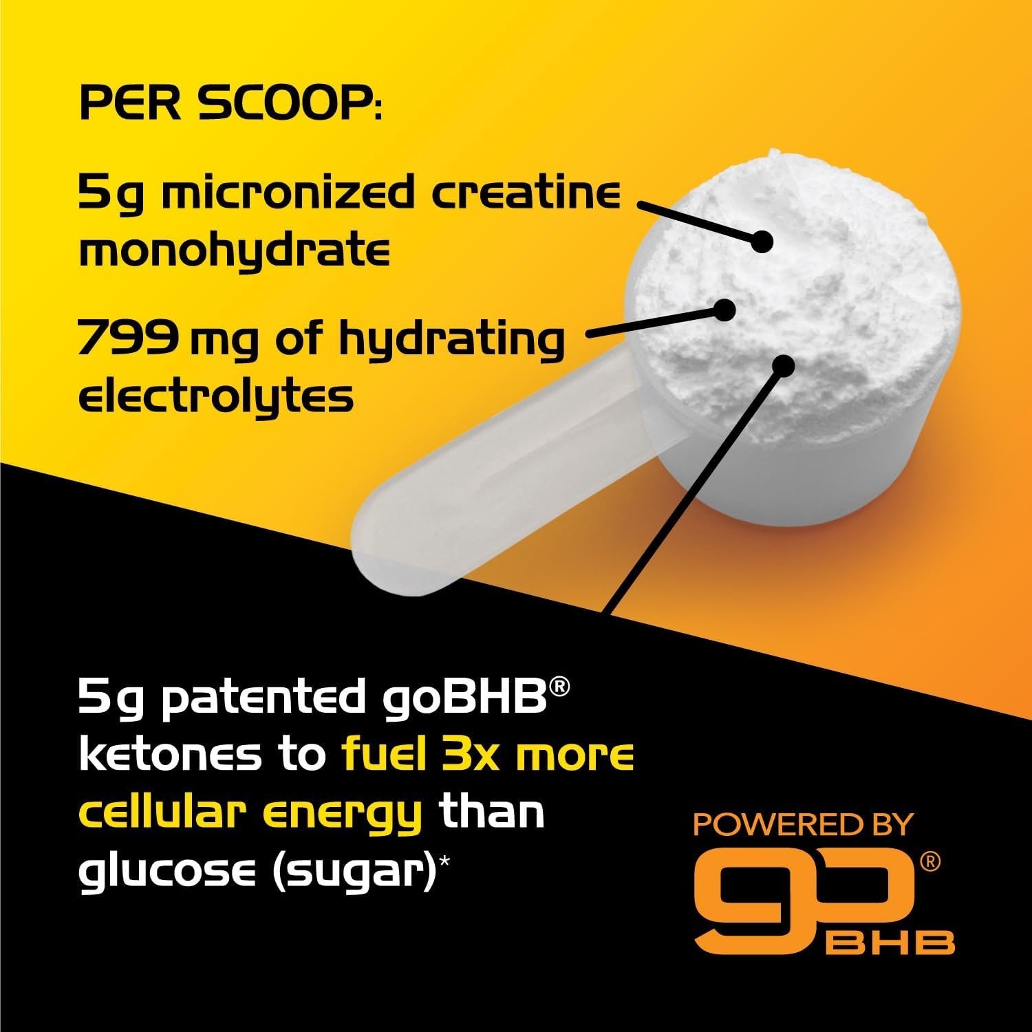 Micronized Creatine Monohydrate Powder – Stim Free Pre Workout with Creatine 5g