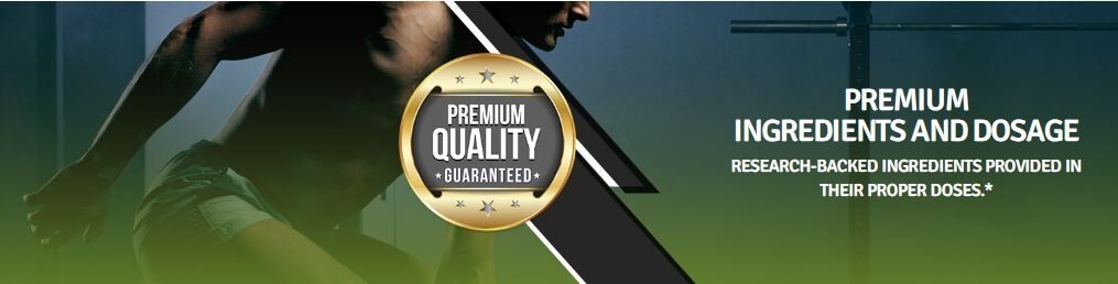 1 TEST BOOST Max + 1 Burn Evolved Sculptnation Testosterone Strength Weight Loss