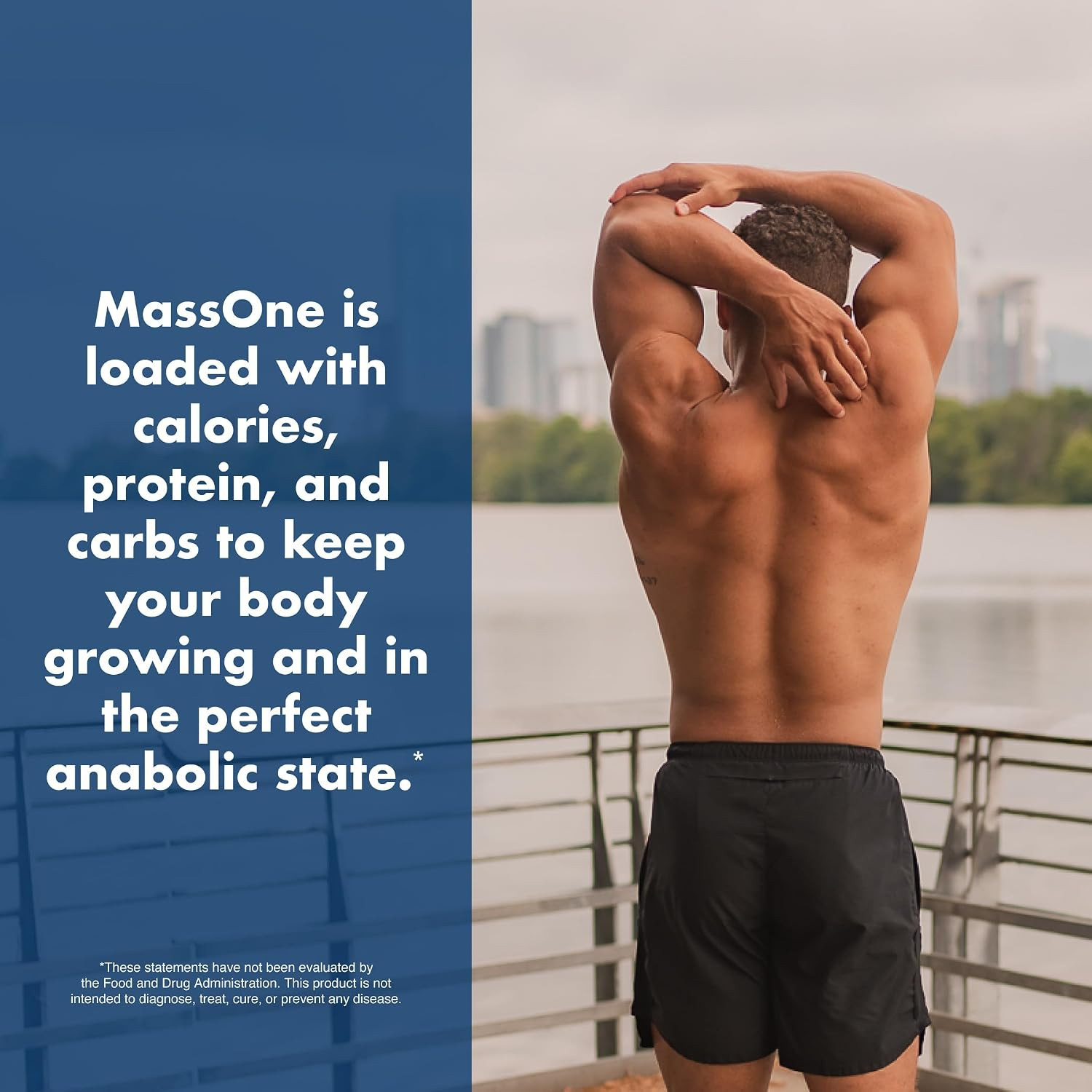 Massone Mass Gainer Protein Powder Gain Weight Protein Meal Replacement (Gourmet