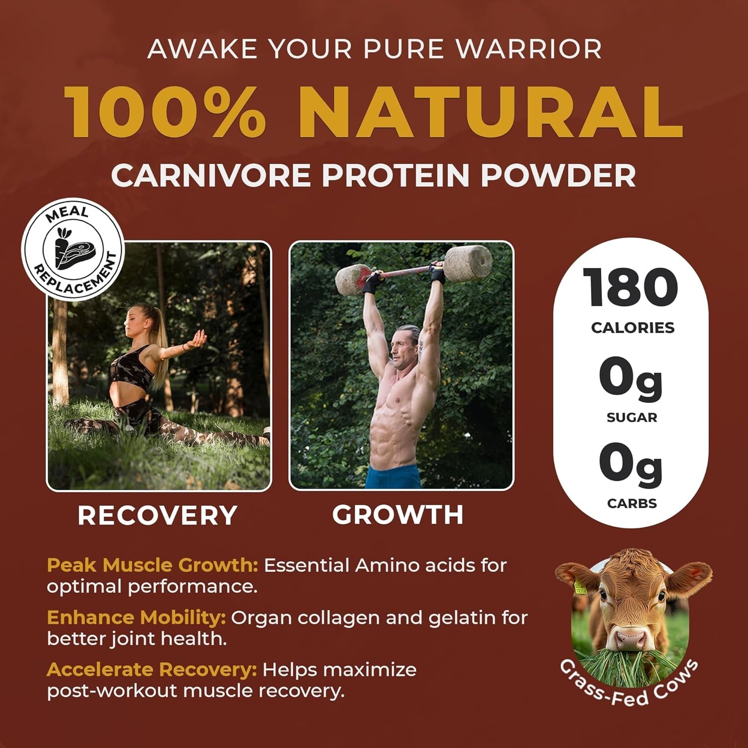 Carnivore Complete Ancient Cacao Pastured & Cage-Free Protein, Grass-Fed Beef…
