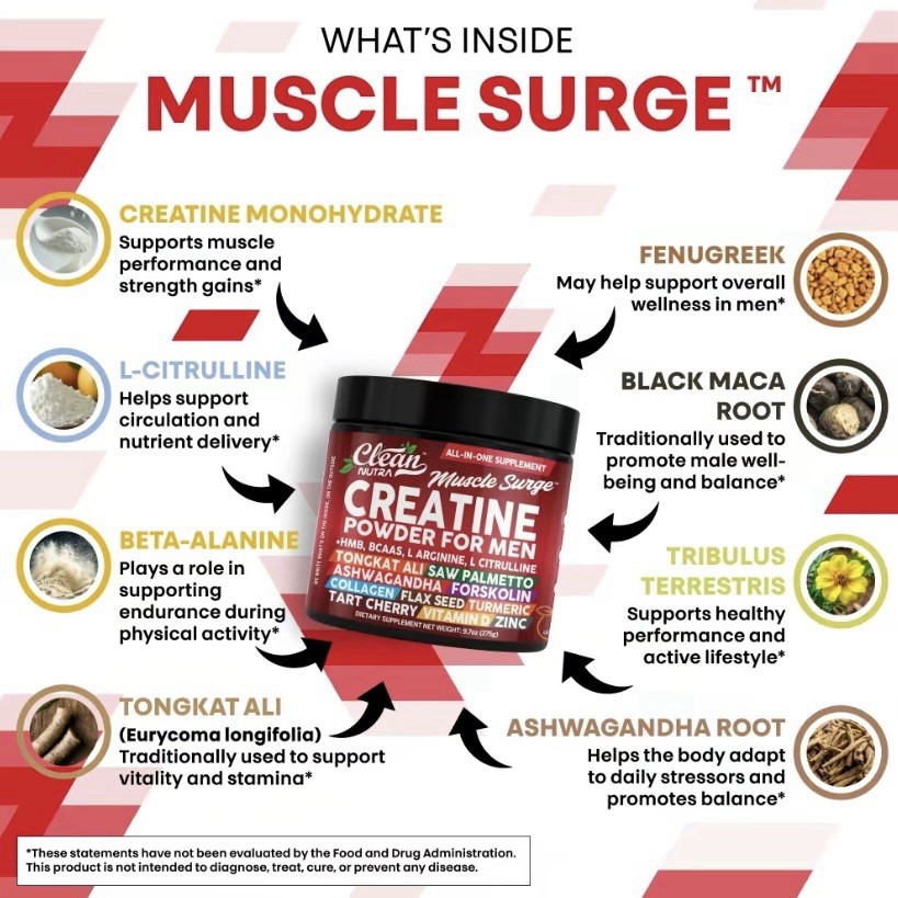 Clean Nutra Muscle Surge – All-in-One Creatine Powder for Men
