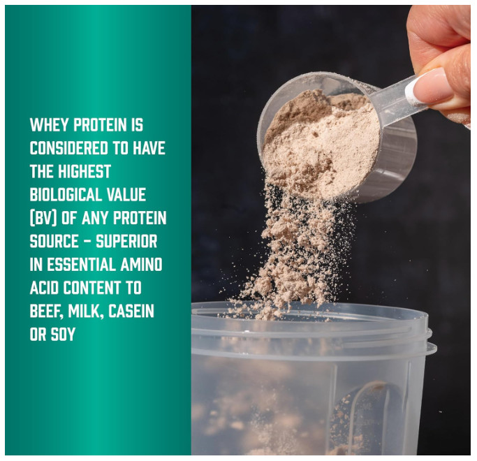 NOW Sports Whey Protein Concentrate Unflavored 5LB 24g Protein