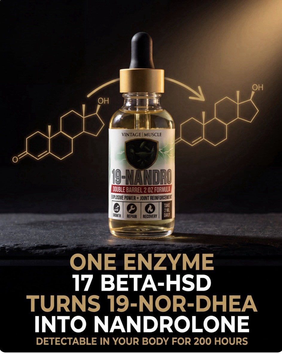19 Nor DHEA 2 Step Precursor To Deca For Size & Strength By Vintage Muscle 💪 🧪