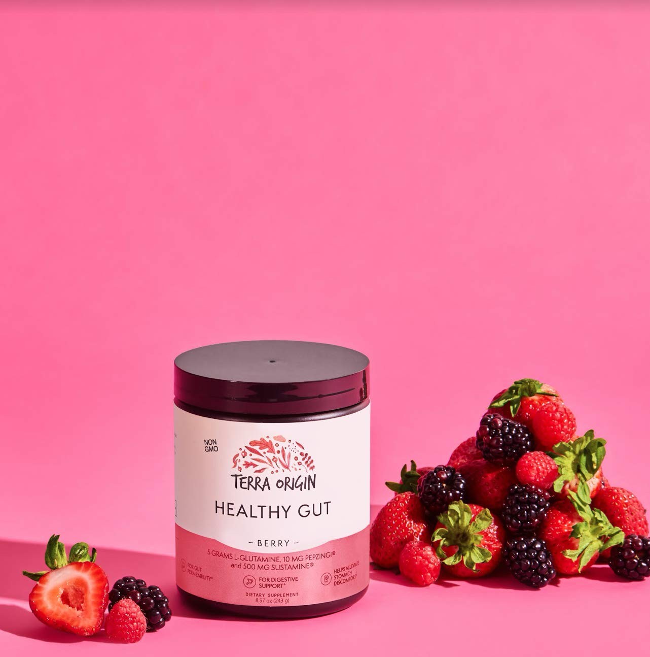 TERRA ORIGIN Healthy Gut Powder Berry Flavor |30Servings with LGlutamine, Zin…